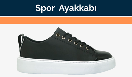 1.RESİM